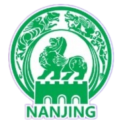 南京隊(duì)logo